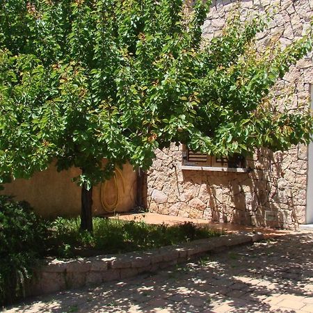 Apartament Bella Casa Con Giardino A 10 Minuti Dal Mare Aglientu Zewnętrze zdjęcie
