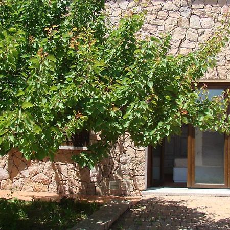 Apartament Bella Casa Con Giardino A 10 Minuti Dal Mare Aglientu Zewnętrze zdjęcie