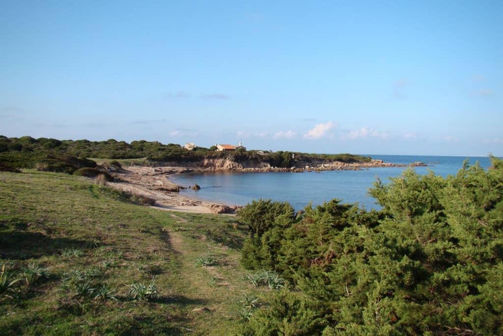 Apartament Bella Casa Con Giardino A 10 Minuti Dal Mare Aglientu Zewnętrze zdjęcie