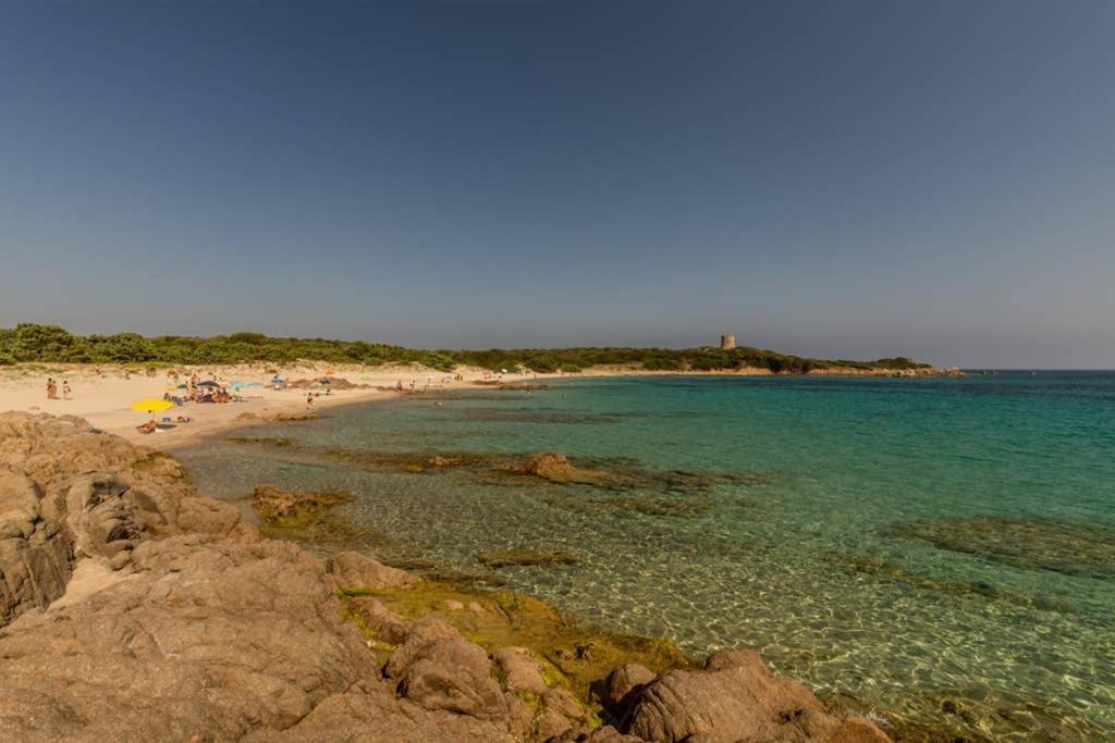 Apartament Bella Casa Con Giardino A 10 Minuti Dal Mare Aglientu Zewnętrze zdjęcie
